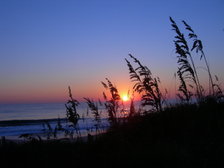 Oceanfront Sunrise 7